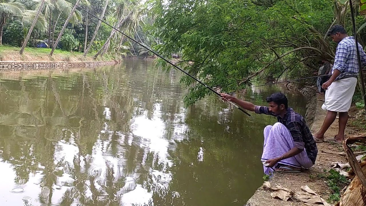 Village Fishing🎣Traditional Fishing|Natural Fishing|Kerala Fishing|Fishing idea|FishingVideo|Fishing