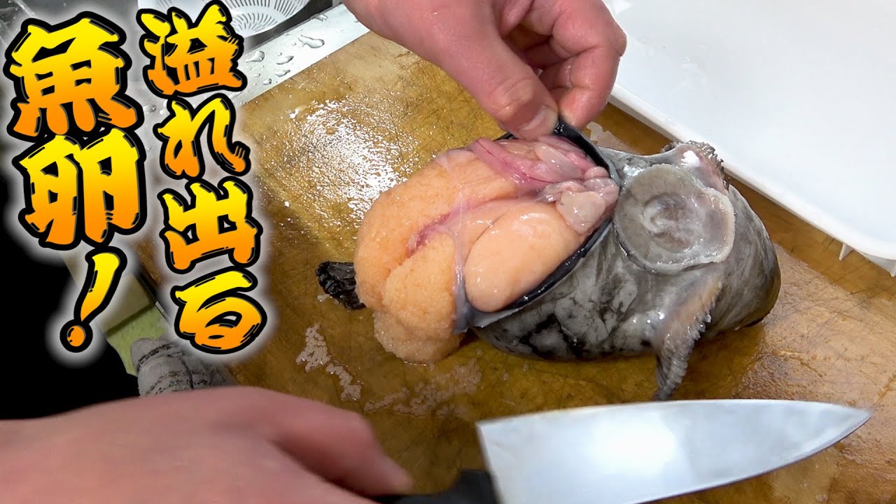 お腹をパンパンに膨らませた『北海道産ゴッコ』を味噌キムチ鍋にしたら美味しすぎた！！