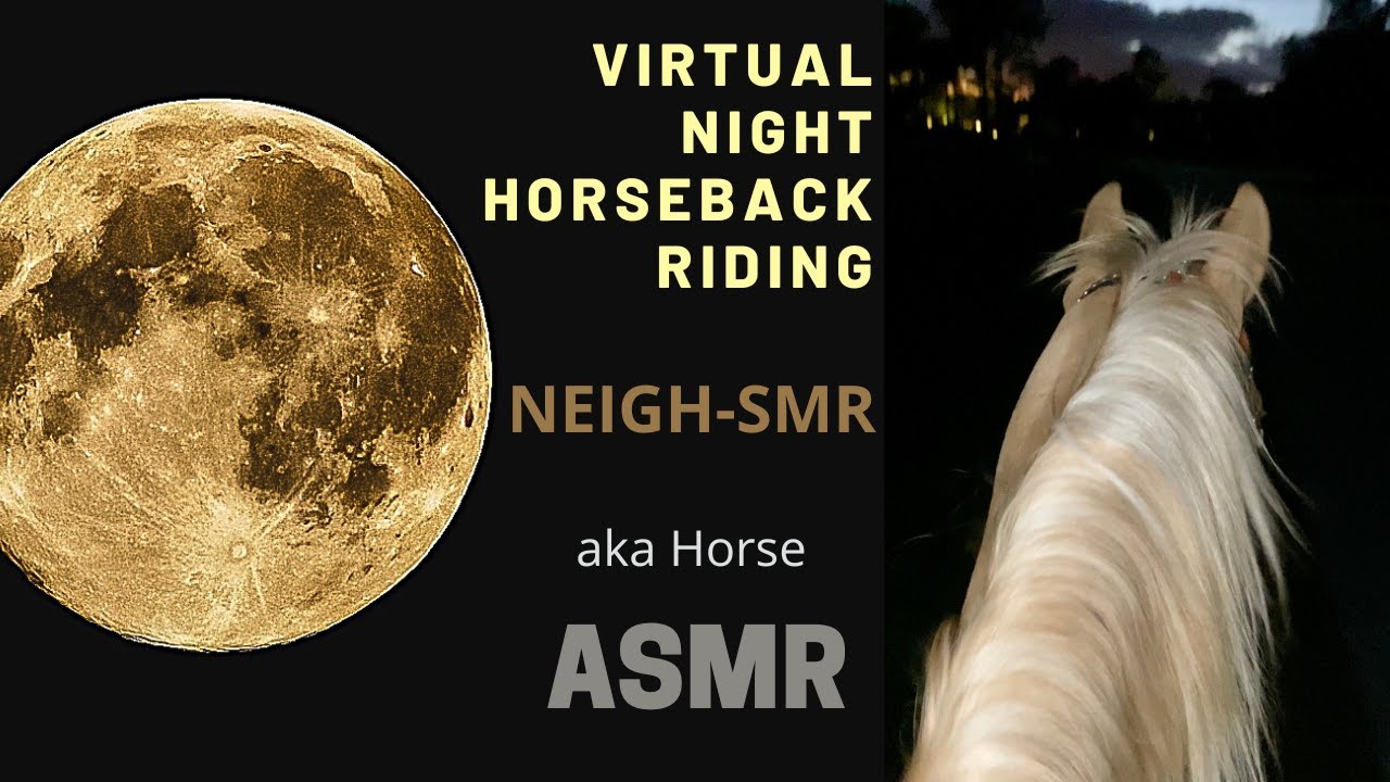 🐴 TOTAL DARKNESS ⚫️ | Horse riding at night | No Music | #horse #asmr