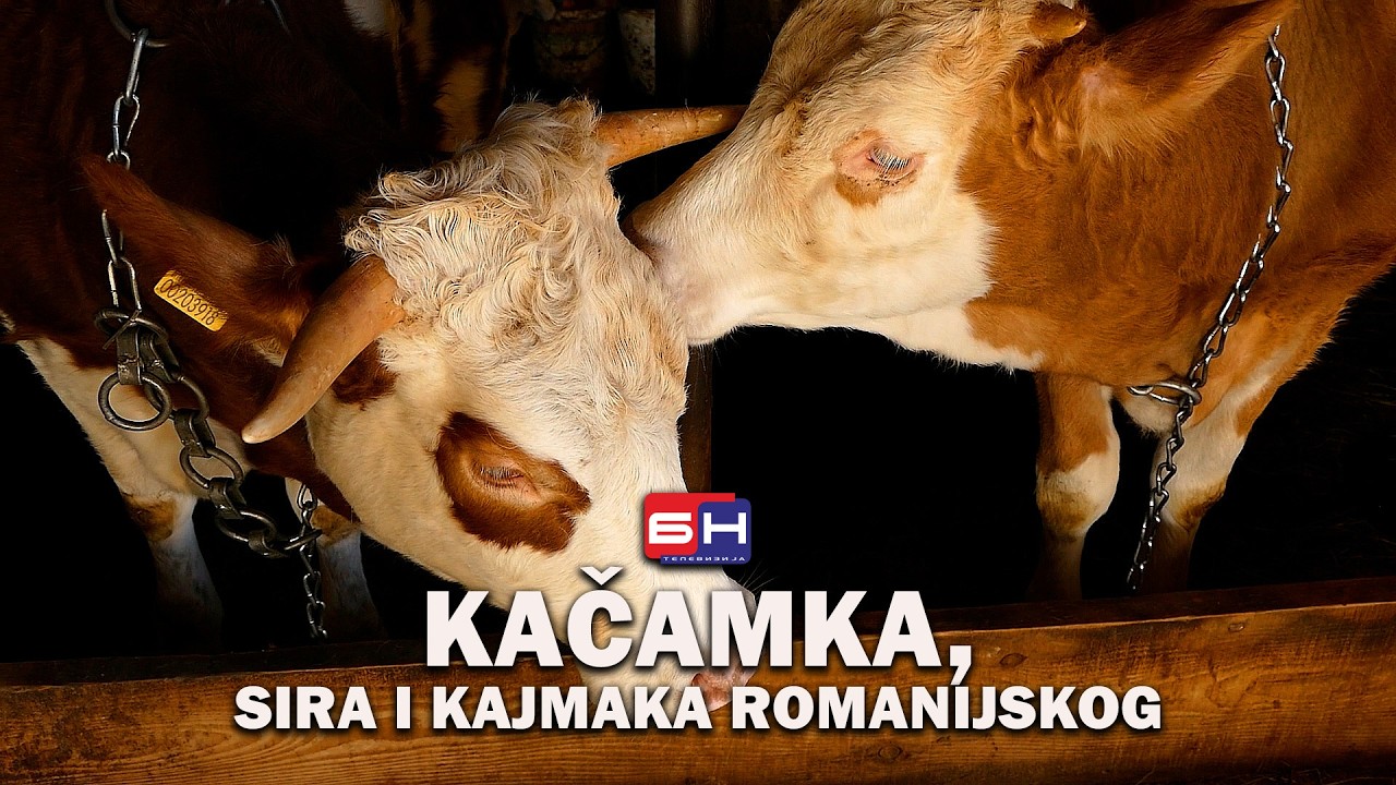 Kačamaka, sira i kajmaka romanijskog - Kako se priprema romanijski skorup kajmak | ZAPISI PORED PUTA