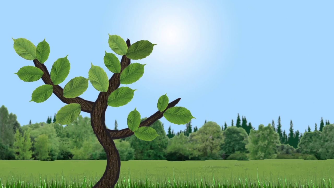 The Winnipeg Foundation 'Growth' PSA