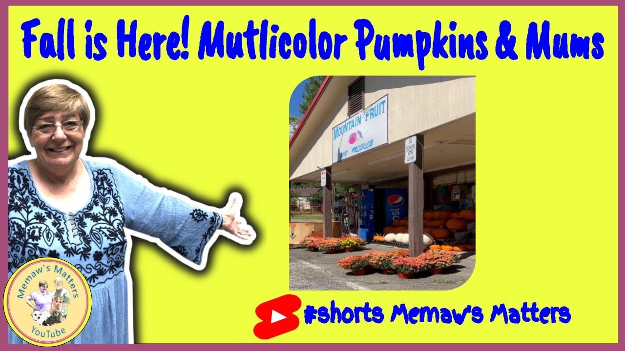 Fall is Here! Multicolor Pumpkins & Mums #shorts