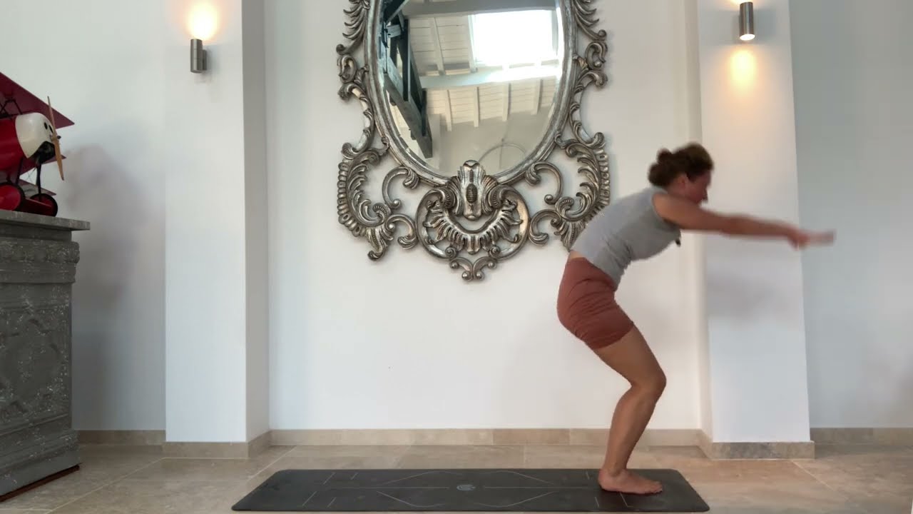 1-hour vinyasa yoga flow to mobilise lower back & savasana - levels I-II