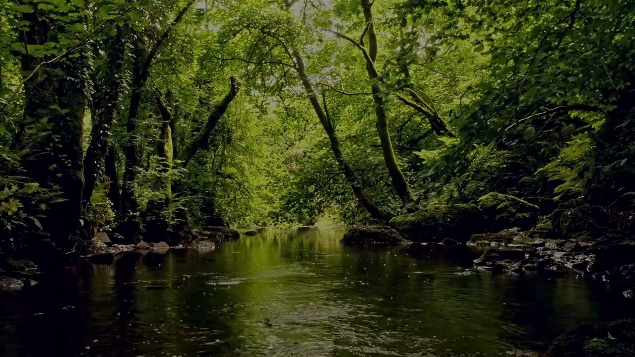 RELAXING FOREST SOUNDS, FLOWING WATER AND GENTLE BIRDSONG FOR DEEP SLEEP