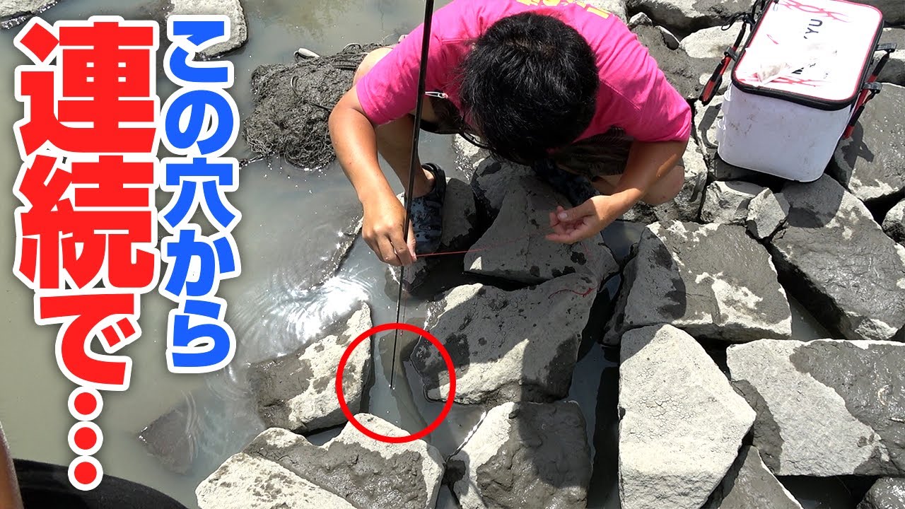 摩訶不思議！？ウナギが何匹も潜む穴…