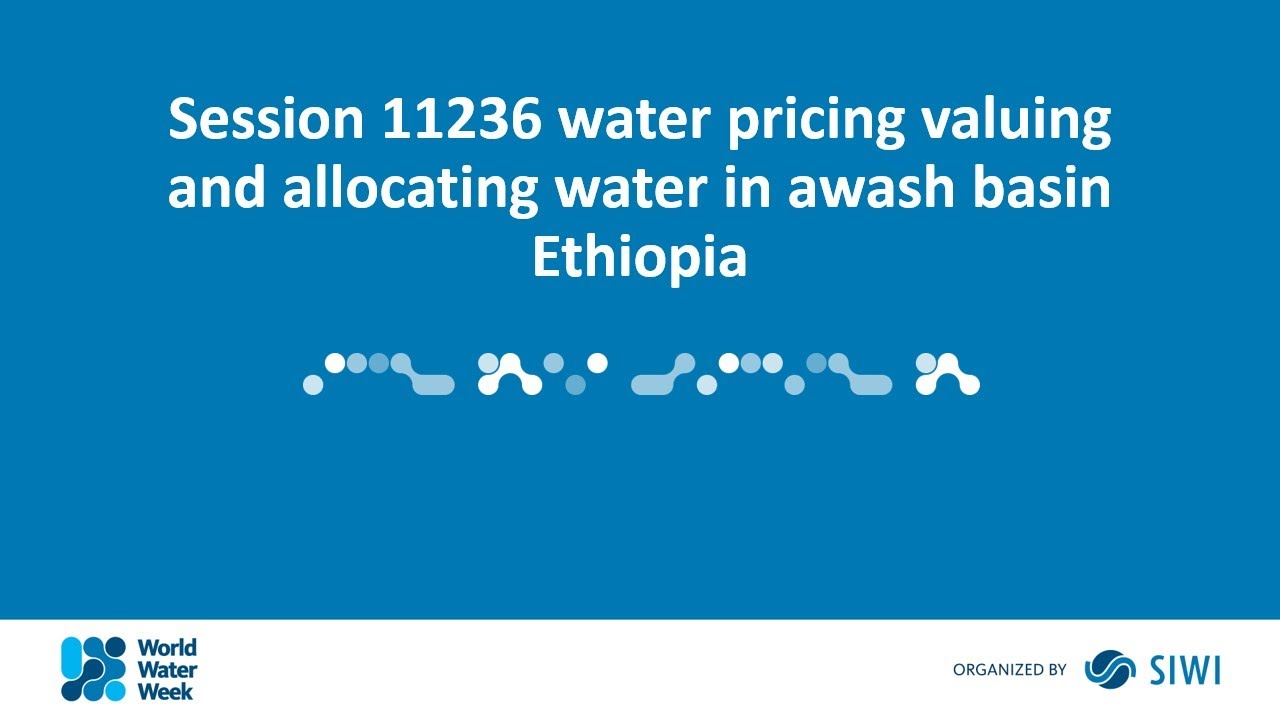 11236 water pricing  valuing and allocating water in awash basin Ethiopia