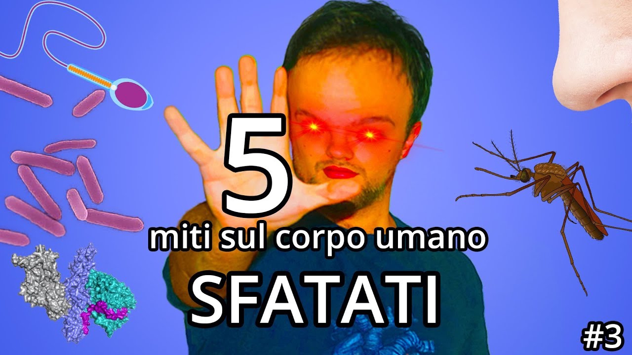 5 MITI da sfatare sul CORPO UMANO #3 - Spiegazione