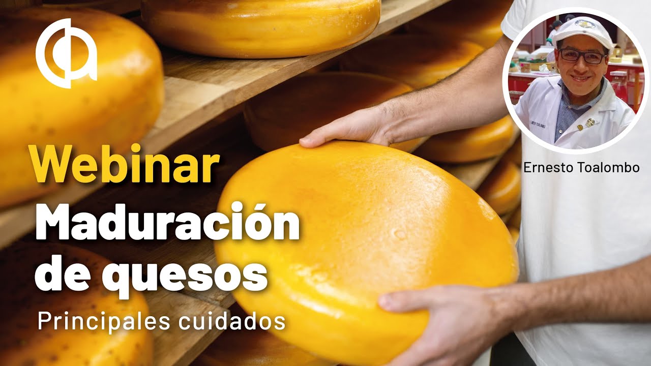 Webinar. Cuidados en la 