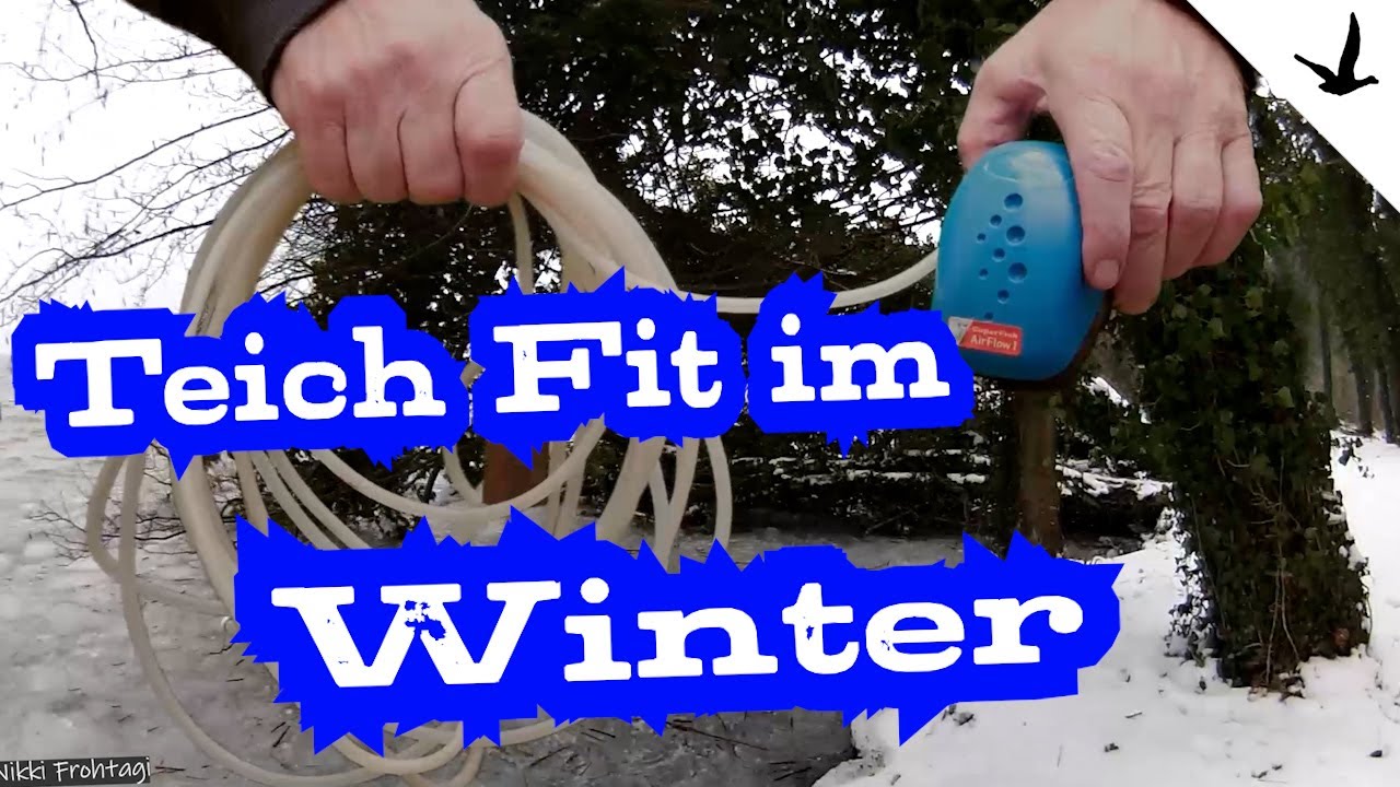 Teich Winterfest machen✅alles wird Frostfrei und Fische und Pflanzen überwintern