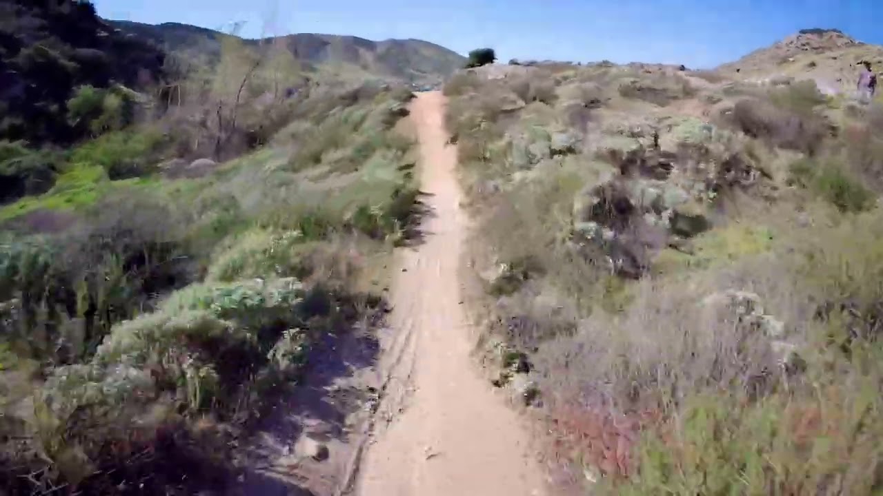 Fontana Race Run 2/8/26
