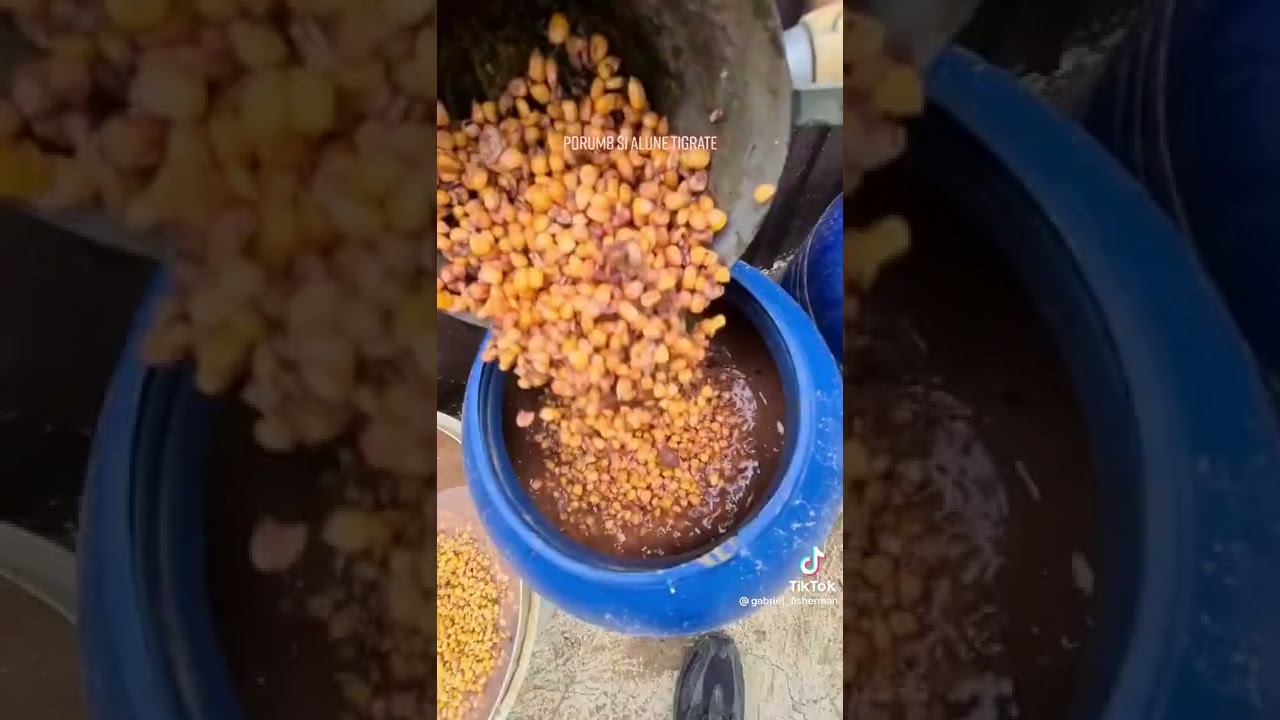 Porumb fermentat