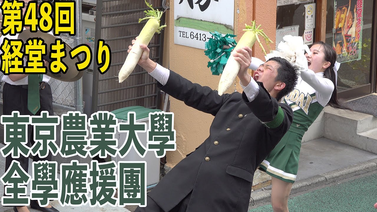 2024.07.28 東京農業大学全學應援團（リーダー部・吹奏楽部・チアリーダー部）／第48回経堂まつり