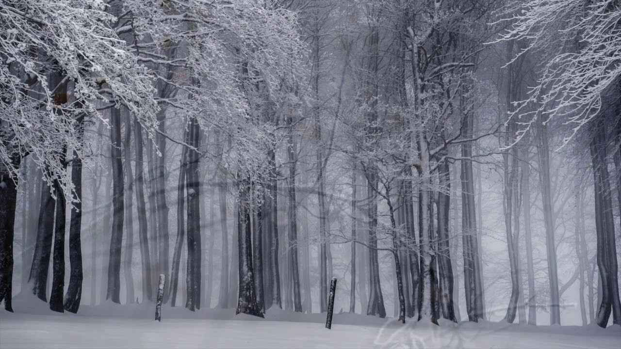 Come Now, O Prince of Peace