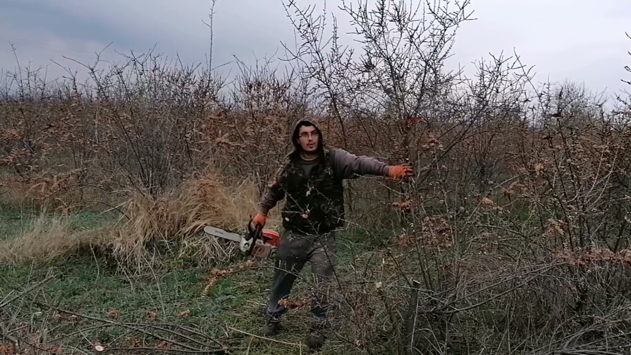 Stihl ms 261