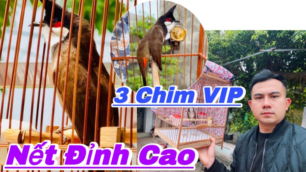 BỘ BA NGUYÊN TỬ | SẴN SÀNG KÍCH NỔ | MÁY LẬT | MÁY ĐÁNH | MÁY CHÀ NẾT ĐẤU ĐỈNH CAO LÊN SÓNG 