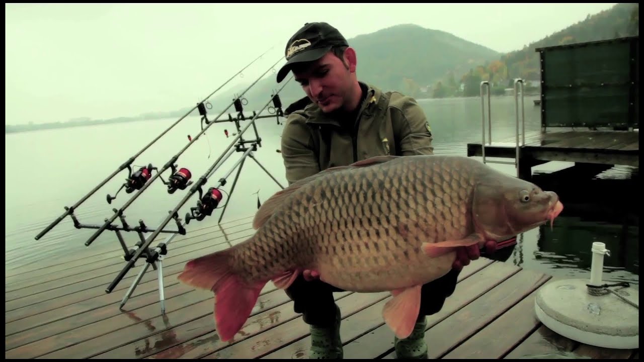 K-Karp - Carp Fishing TV - Klopeinersee - Part 1