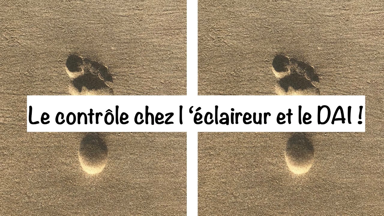 Flamme jumelle : Le contrôle chez l'éclaireur (runner) et le DAI (chaser)