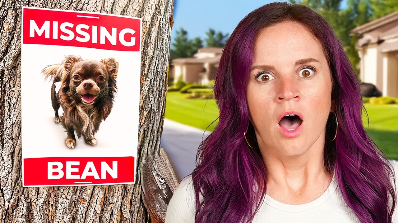 My Dog is MISSING!