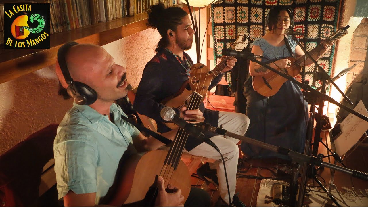 El Aguanieve - Sergio Medrano y su Trio Jarocho (Son Jarocho)