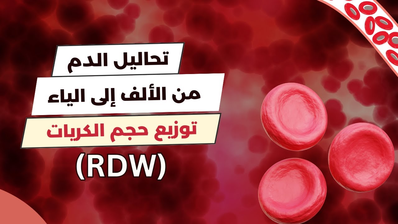 توزيع حجم الكريات الحمراء (RDW) | تحليل الدم الشامل 🩸🔬