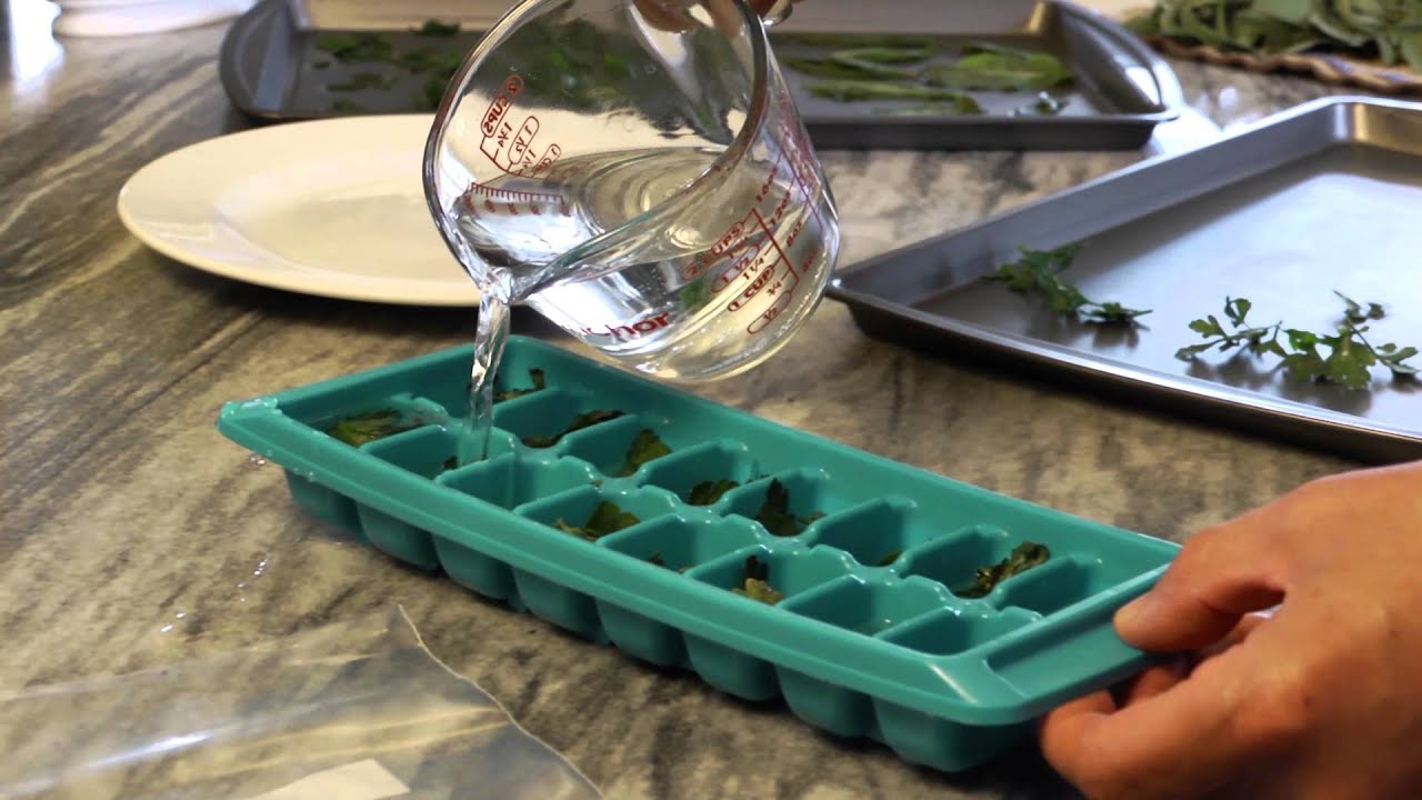 How to Store Fresh Herbs |  At Home With P. Allen Smith