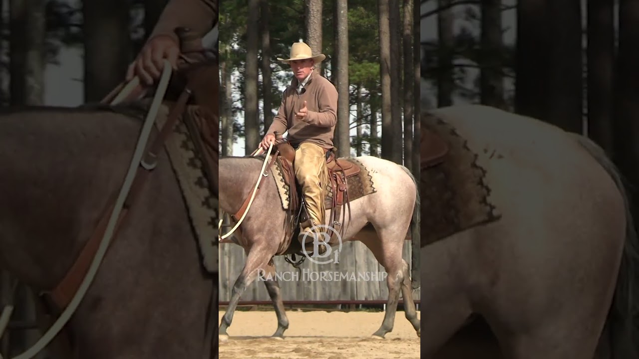 Here's the secret to neck reining.