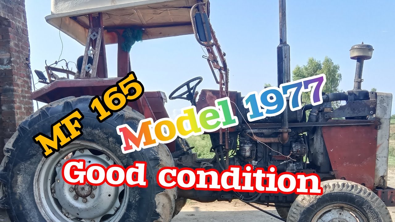 Tractor for sale model 1977 MF165 | Episode 12 |