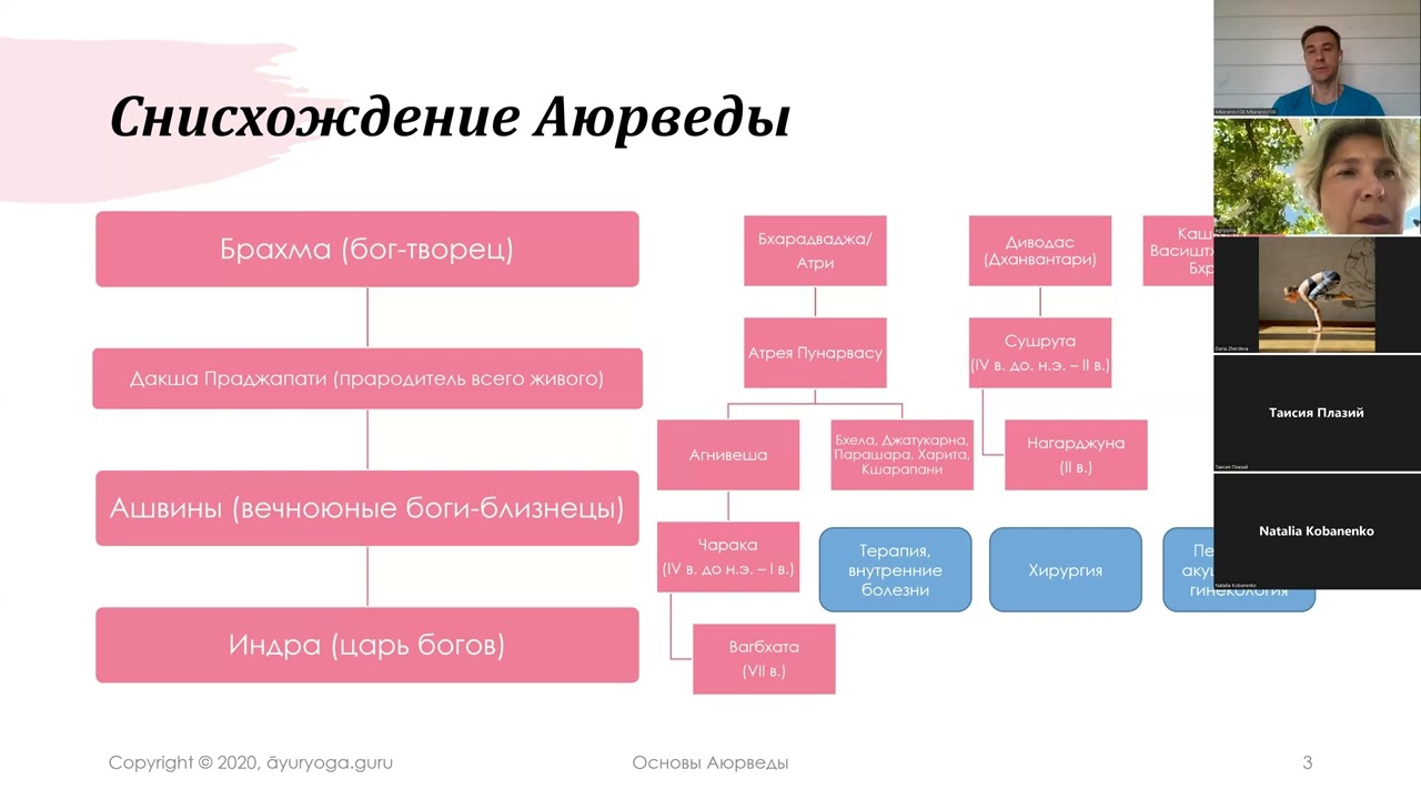 Основы Аюрведы - введение в основные понятия