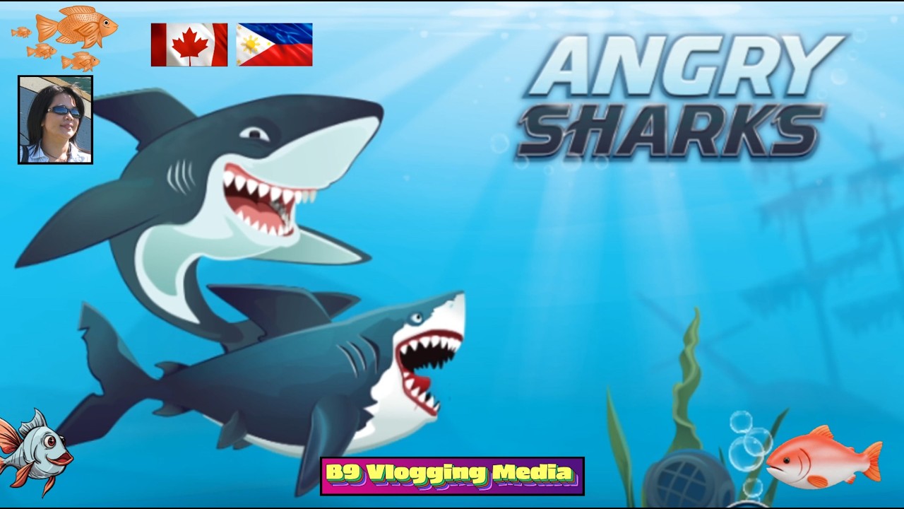 B9 VLOGGING MEDIA IS LIVE: ANGRY SHARK #WH-UPDATE 02/17/2026. 4K