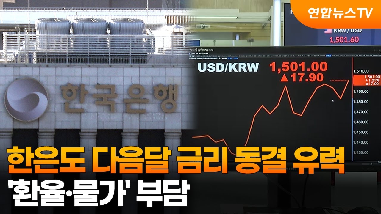 한은도 다음달 금리 동결 유력…'환율·물가' 부담 / 연합뉴스TV (YonhapnewsTV)