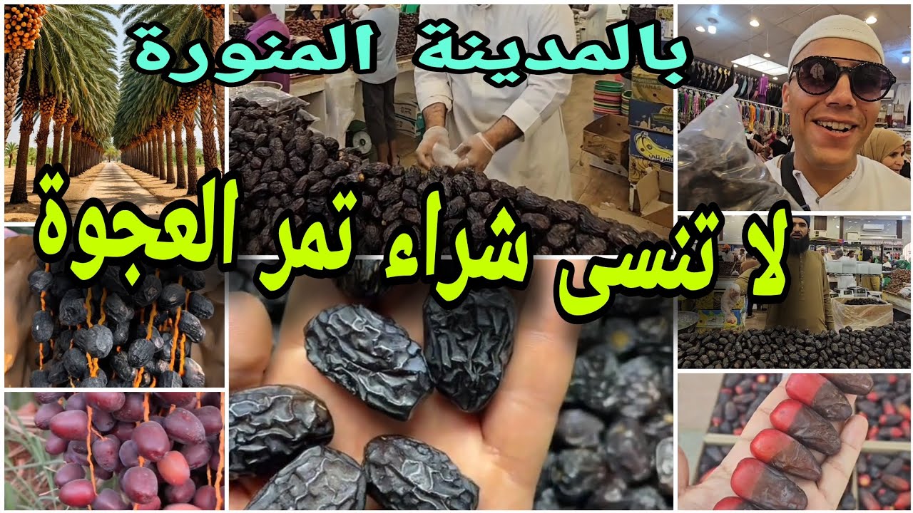 لا تنسى شراء تمر العجوة😍 في المزرعات بالمدينة المنورة 🇸🇦 التمر الذي ذكره الرسول ﷺ في الحديث الشريف