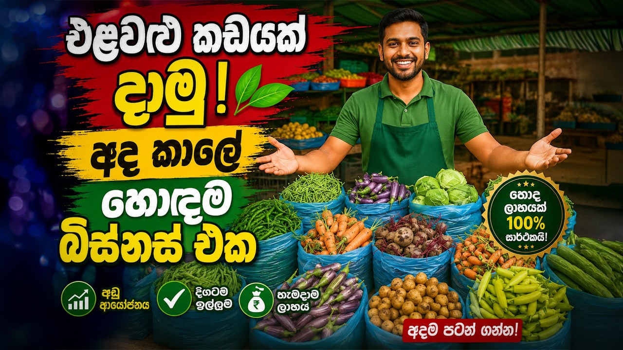 එළවලු කඩයක් දාමු | කොහෙන්ද අඩුවටම එළවලු පලතුරු ගන්නේ | අද කාලේ හොදම බිස්නස් එක
