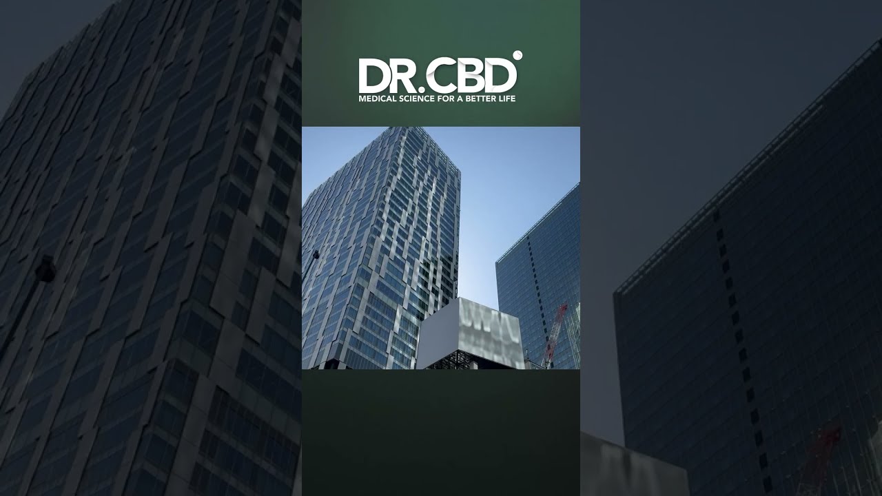 CEO & Founder of Dr. CBD, took the stage at the CBD Journey & Canna Con 2023 seminar in Japan