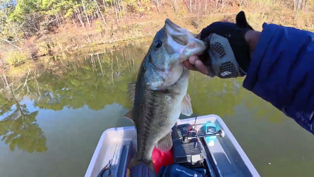 Мини-лодка для ловли окуня привлекает новых друзей на реке Куса! | Шоу Корнелиуса Уилкса
