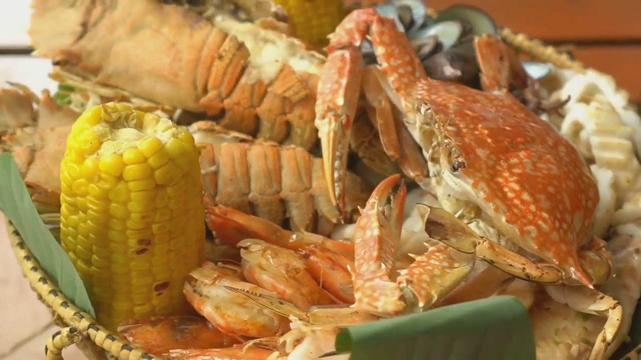 Discover New Brunswick - A Hidden Gem (4 Minutes)