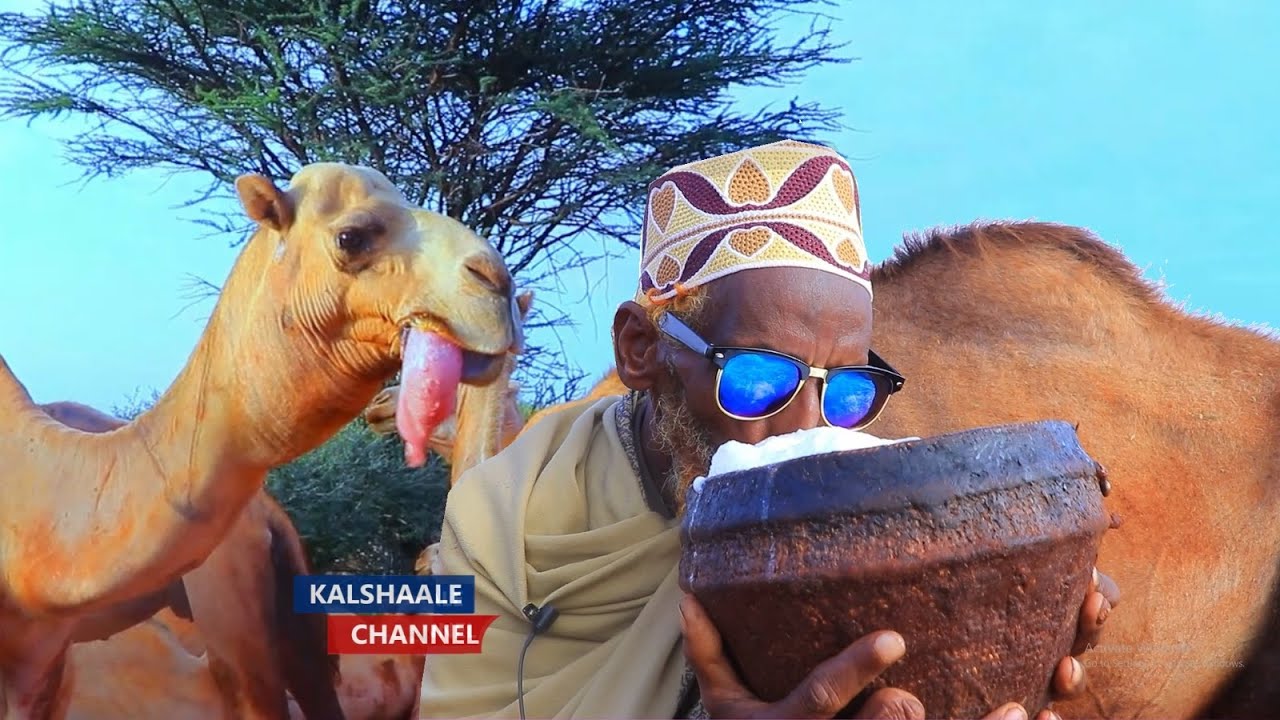 Baarqab Geel  iyo Abwaan Yuusuf Suusle  Xiligoo Barwaqo ah Iyo Buuhoodle