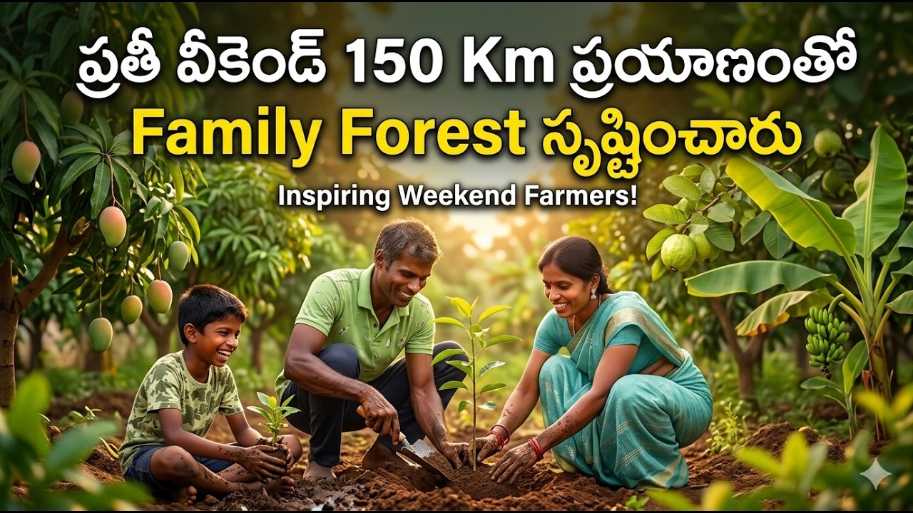 From City Life to Soil - An Inspiring Family Farming Story #agroforestry #naturalfarming