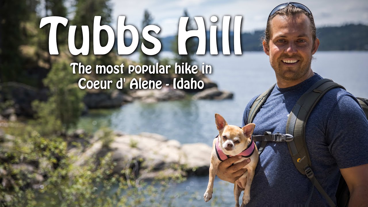 Tubbs Hill - The most popular hike in Coeur d' Alene Idaho