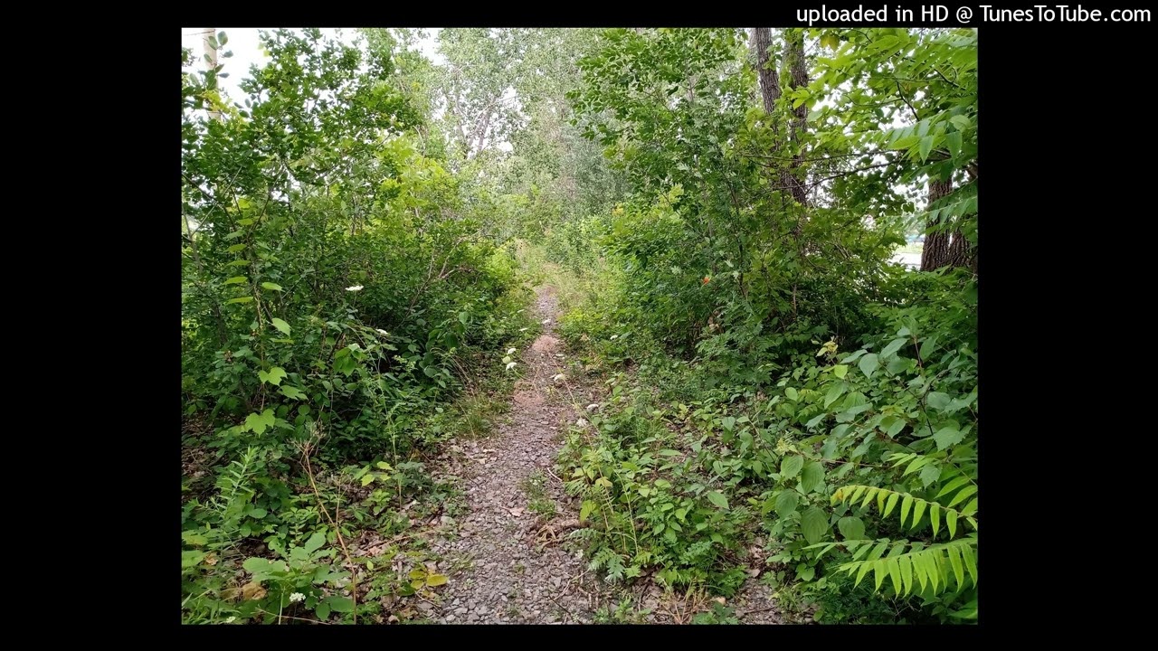 Prairie Run