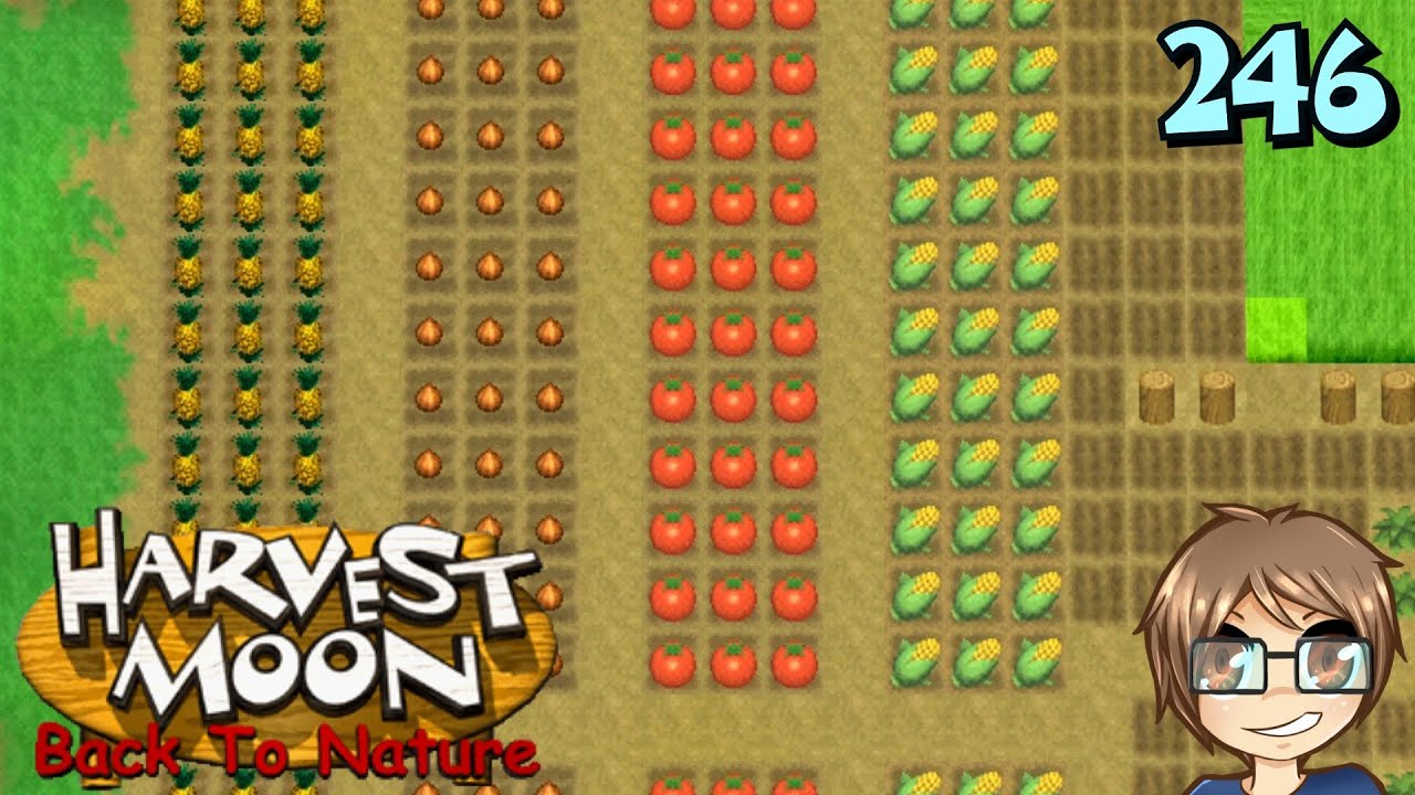 Harvest Moon BTN - 246 - The Summer Farm Layout!