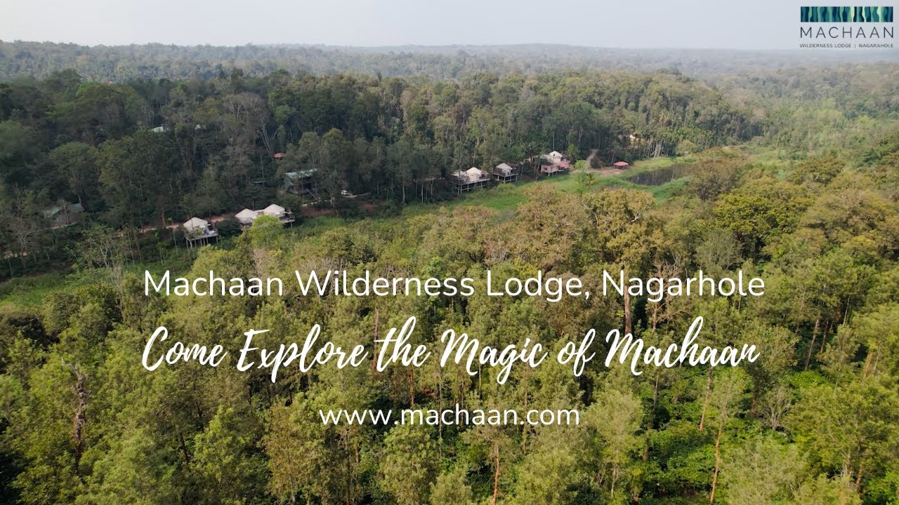 Machaan Wilderness Lodge, Nagarhole Tiger Reserve