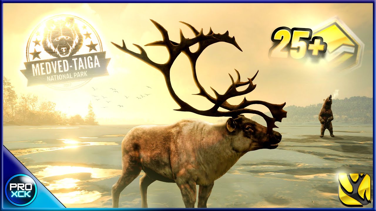 Diamond & Rare Montage | All 6 Diamonds Medved Taiga | theHunter Call of the Wild