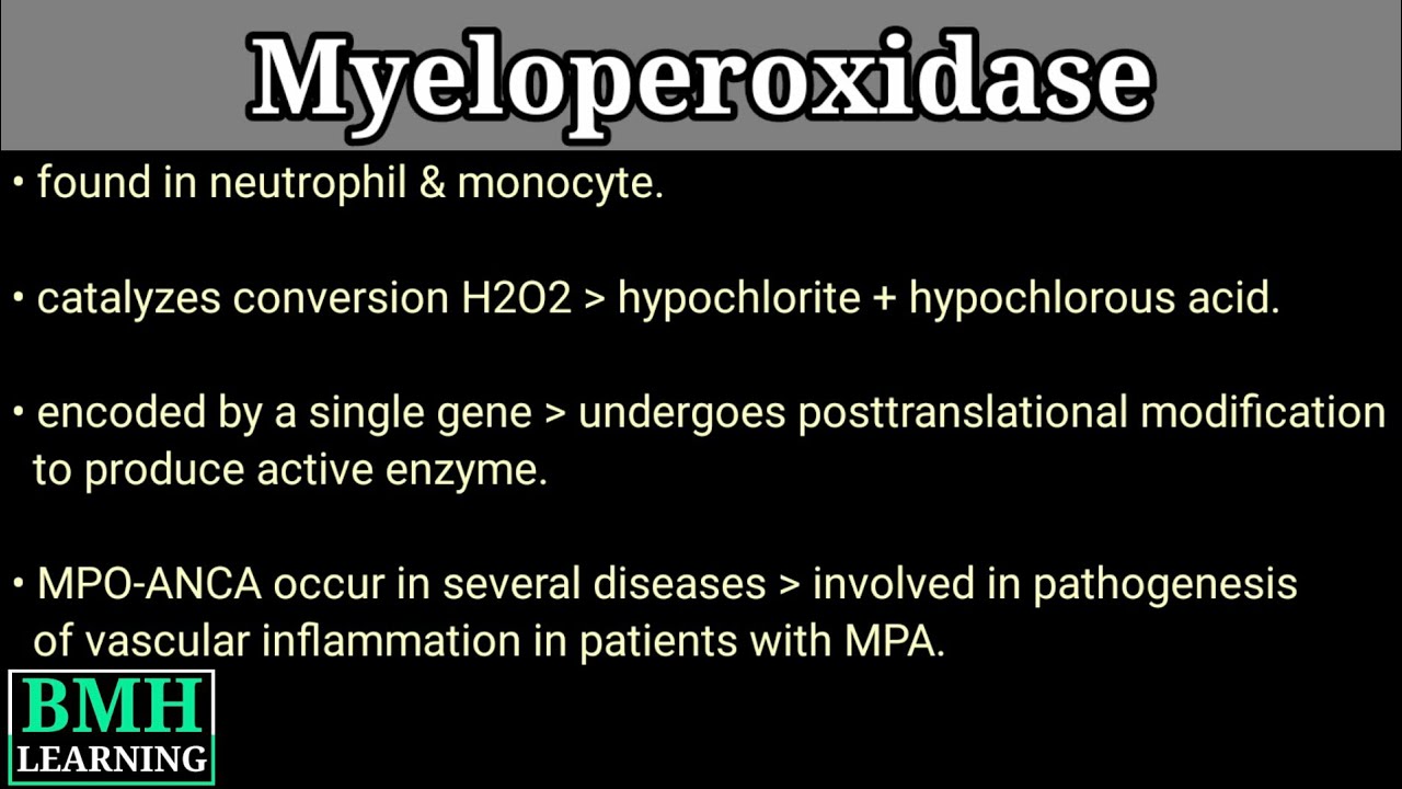 Myeloperoxidase Enzyme | MPO Enzyme |