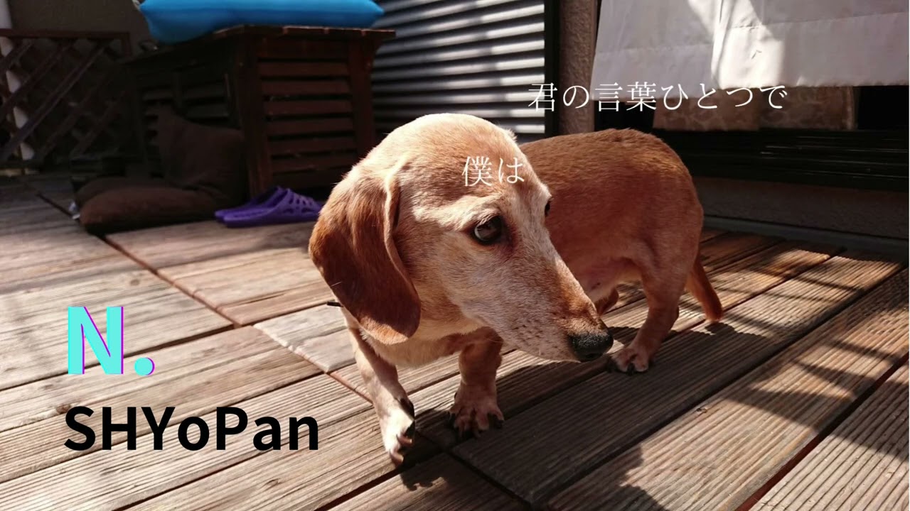 N. / SHYoPan（Original Song）