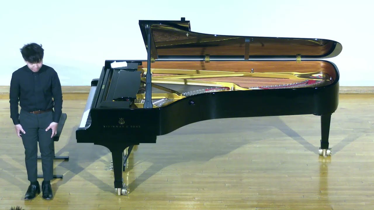 Carnaval, Op.9, by Robert Schumann. Played by Jayson Lim Hou Ee