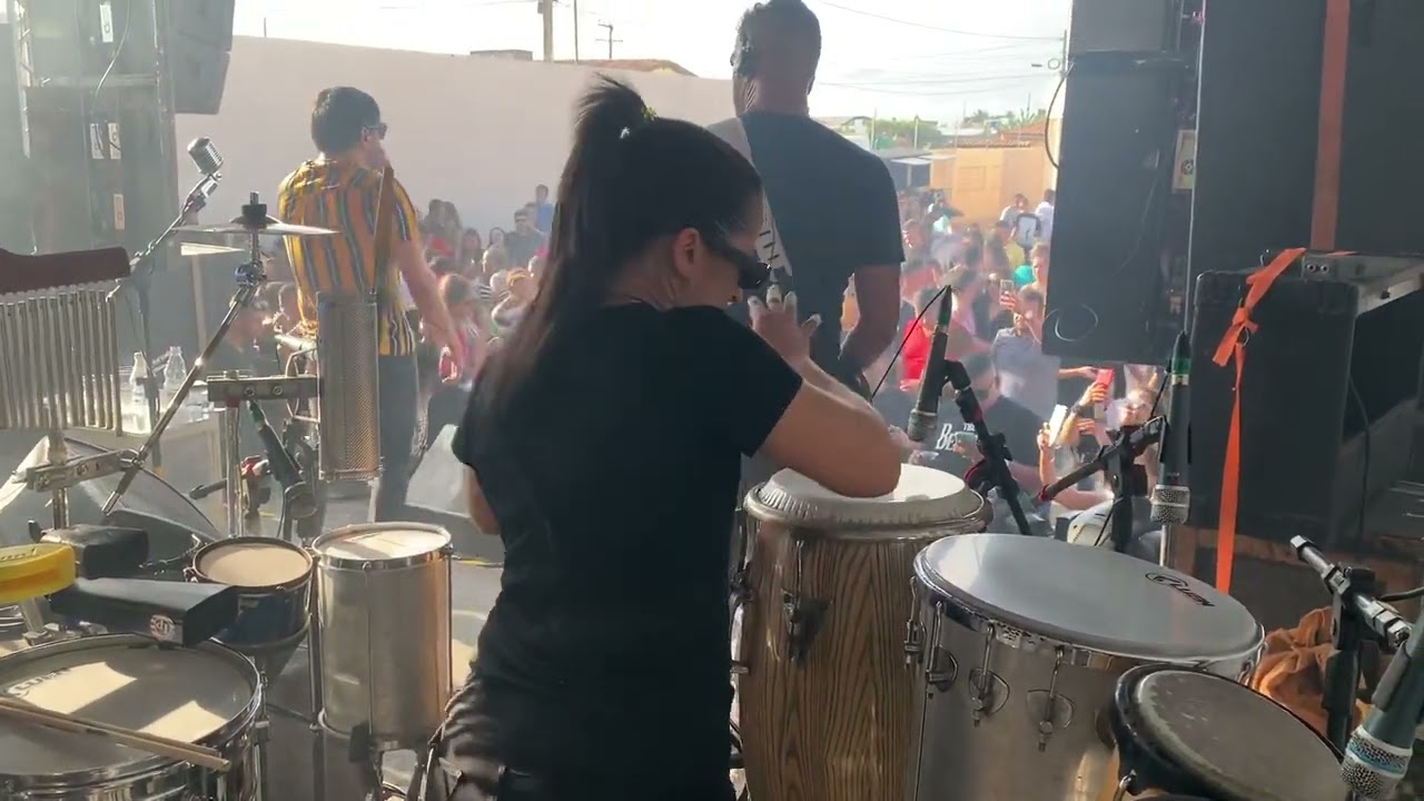 Zuar e Beber - Pedrinho Pegação - Dany Amorim