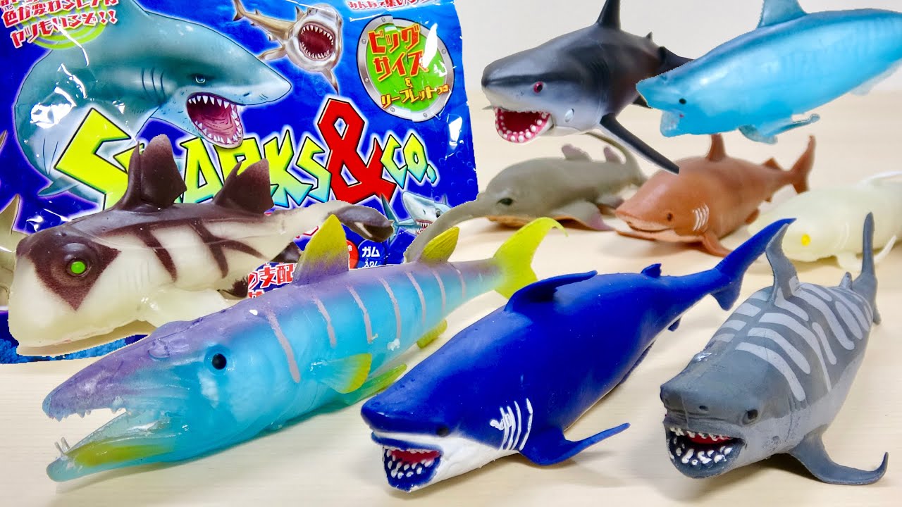 光って色が変わる! シャーク&Co. デアゴスティーニ レアは5種類! ホオジロザメ,アオザメ,ヨゴレザメ,ポート・ジャクソン・ネコザメ