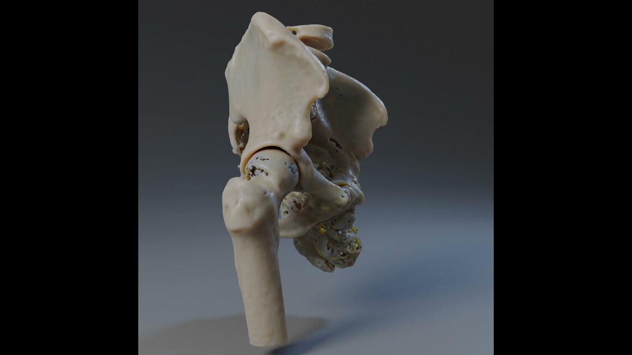 Cinematic Rendering Technology Demo