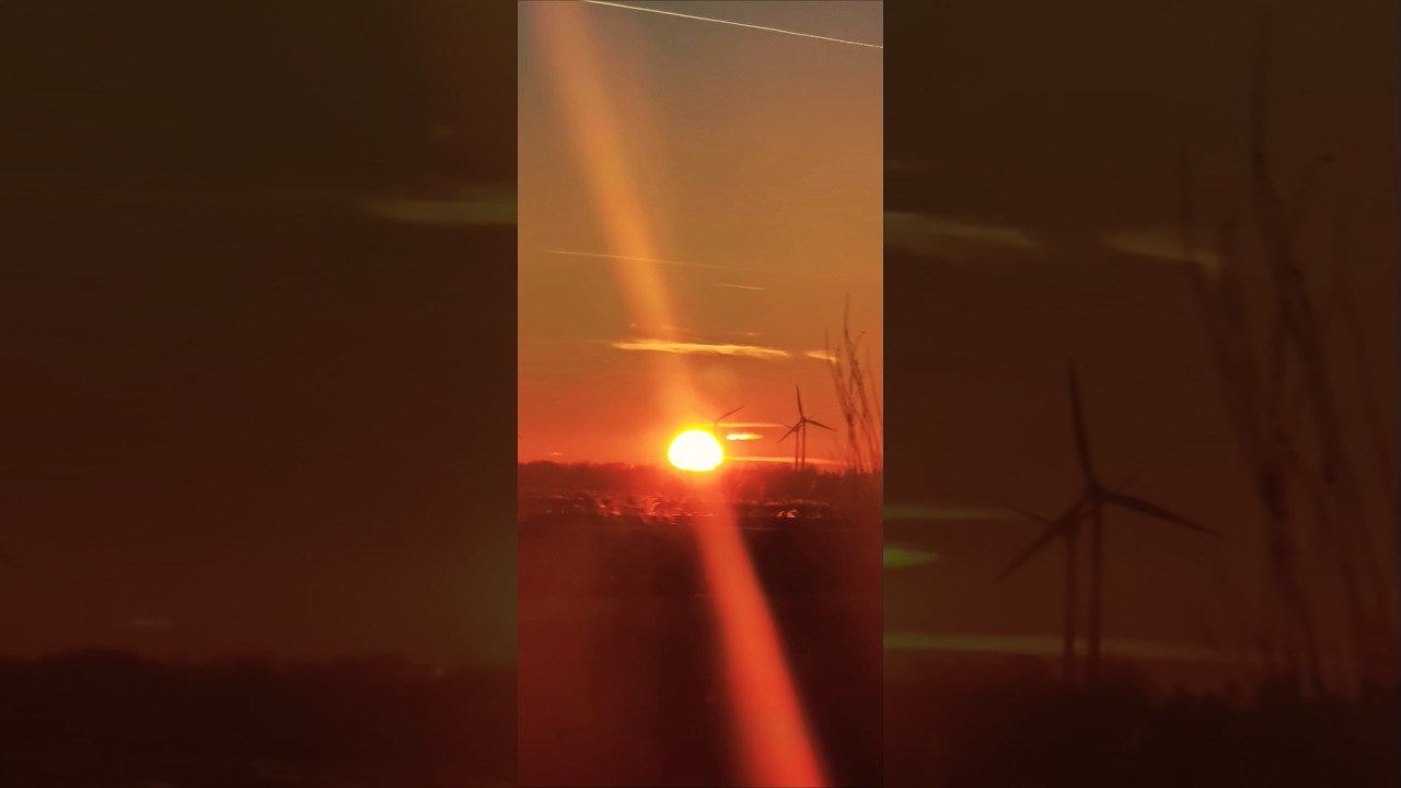 ☀️🌾