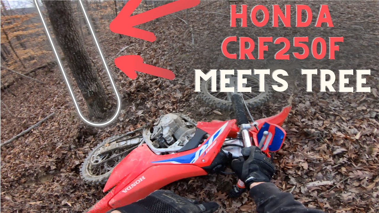 Watch This Before Buying a 2023 Honda CRF250F - The BEST Budget Trail Bike???